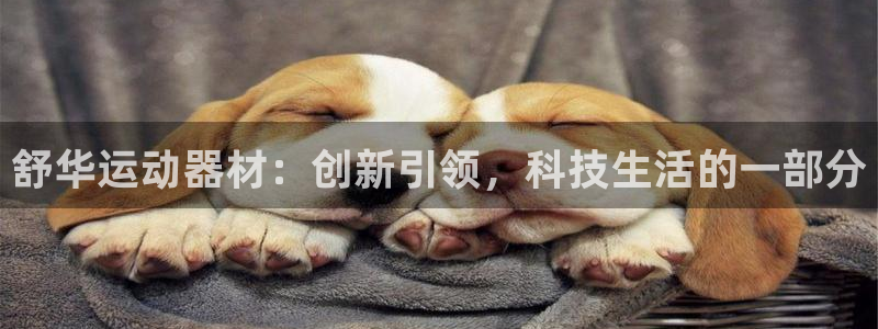 意昂体育4招商电话号码是多少啊：舒华运动器材：创新引领，科技