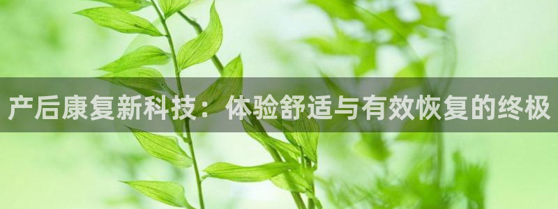 意昂4娱乐下载：产后康复新科技：体验舒适与有效恢复的终极